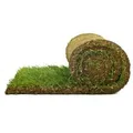 Spiel- & Sport-Rollrasen je m² Bestellmenge 30-39 m²