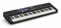 CASIO CT-S500 Casiotone Keyboard inkl. Netzteil