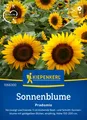 Kiepenkerl Blumensamen Sonnenblume Pradomio, für ca 30 Pflanzen - verzweigt