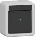 Gira 310630 Wippschalter, 10 AX, 250 V~, Aus-Wechselschalter, IP44, grau