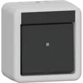 Wippschalter 10 Ampere 250 Volt Universal-Aus-Wechselschalter Kunststoff grau, Retail