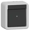 Gira Wippschalter 310630