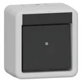Gira Wippschalter AusWe WG AP 310630 Grau (310630)