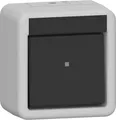 GIRA 310630 Wippschalter Aus-Wechsel WG AP IP44 Grau