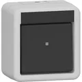 Gira 310630 Wippschalter Aus-Wechselschalter,  WG Aufputz, grau