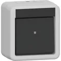 Gira - Installationsschalter Wippschalter 310630 AusWe WG AP Grau