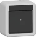 Gira 310630 Wippschalter, 10 AX, 250 V~, Aus-Wechselschalter, IP44, grau