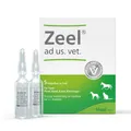 Zeel® ad us. vet. Ampullen
