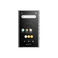 4548736140769 Sony NW-A306 Walkman A-Serie Tragbar