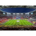 K&L Wall Art Vliestapete "XXL Vliestapete", FC Bayern München Verein, mehrfarbig, matt - bunt