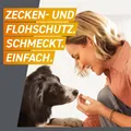 FRONTPRO 28 mg Kautabletten für Hunde 4 - 10 kg 3 St