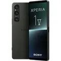 Xperia 1 V 256GB 5G Khaki-Grün Smartphone - Grün