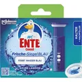 WC-Ente WC-Duftspüler Frische Siegel Azure Lagoon, Klebesiegel mit Gel, 1 Stück