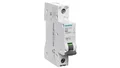 Überstromschalter 1P B 20A 6kA AC SENTRON 5SL6120-6