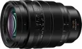 Panasonic Leica DG Vario-Summilux - Zoomobjektiv - 10 mm