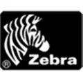 Zebra Z Trans 5P - Etiketten - 51 x 76 mm ( 1 Rolle(n)