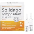Solidago compositum vet. Ampullen 10 St.