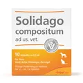 Solidago compositum ad us. vet. Ampullen
