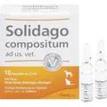 SOLIDAGO COMPOSITUM ad us.vet.Ampullen 10 St PZN 1219864