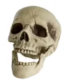 Horror-Shop Dekoobjekt Totenkopf mit beweglichem Kiefer 20cm als Deko