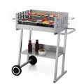 TEPRO Holzkohlegrill "Pasadena", Grillwagen, Grillfläche: 58 x 41 cm - silberfarben