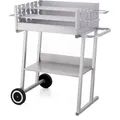 tepro Holzkohlegrill Grillwagen Pasadena, Grillfläche: ca. 58 x 41 cm - Silber