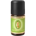 Primavera® Lavendel extra ätherisches Öl