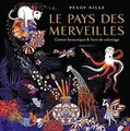 Le pays des merveilles: Carnet fantastique  livre ... | Buch | Zustand sehr gut