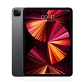 Apple iPad Pro 11" (2021) 256GB WiFi+Cellular Space Grau...MwSt nicht ausweisbar