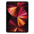 Apple iPad Pro 11" Wi-Fi + Cellular 2021 256 GB spacegrau Sehr guter Zustand **