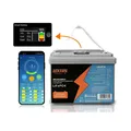 Lexton Lithium-Eisen-Phosphat LiFePo4 Akku mit BMS 12,8V 70Ah LXLFP70