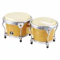 CB 78 NHG Champion Bongos
