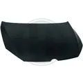 DIEDERICHS Motorhaube 2216100