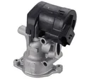 AGR Ventil für CITROËN FIAT FORD LANCIA PEUGEOT RENAULT VOLVO C4 GRAND PICASSO