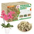Legigo 1.5kg Premium Sphagnummoos Blumenerde - Natürliche Sukkulenten Fleischfressende Pflanzen Moose getrocknet, Pflanzenwachstumsmedium für Orchideen Sukkulenten Sarracenia Orchidee Gartenpflanzen