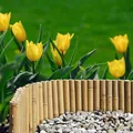 Windhager Beetumrandung aus Bambus für Blumen- und Gemüsebeete, flexible Beeteinfassung, LxH: 100x35 cm, Abgrenzung für runde und eckige Flächen, 100 x 35 cm
