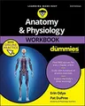 Anatomy & Physiology Workbook For Dummies with Online Practic by Odya 1119473594