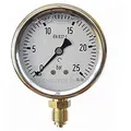 Manometer Kugel Glyzerin 0-25 Bar 1/4''  Druckmessgerät  Sanitär Und Gartenarbeit