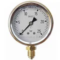 Suinga MANOMETER Glycerin-Zifferblatt 0-25 Bar 1/4". Verwendet in Sanitär- und Gartenbauanwendungen zur BERECHNUNG des genauen Betriebsdrucks in den Rohren, grau