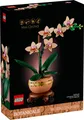 LEGO® Botanicals 10343 Mini-Orchidee