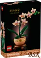 LEGO® Botanicals: 10343 Mini-Orchidee ! NEU & OVP !