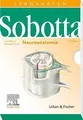 Sobotta Lernkarten Neuroanatomie von Bräuer, Lars, Schol... | Buch | Zustand gut
