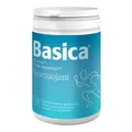 Basica BASIC SPORT Elektrolyt Getränk Granulat 660 g Vitamin C B2 Zitrus