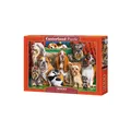 Castorland Dog Club, Puzzle 3000 Teile