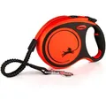 Extreme Band (t-m 5 M Bis Zu 35 Kg) - Flexi