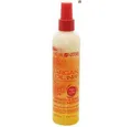 Creme Of Nature Haarspülung Creme of Nature Argan Oil Strength & Shine Leave-In Conditioner 250ml