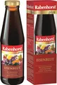 Rabenhorst Eisen Plus Saft 450 ml