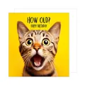 Edition Seidel Premium quadratische Geburtstagskarte mit Umschlag. Glückwunschkarte Happy Birthday Billet Tier Karte Kinder Mann Frau Coole Katze Humor Lustig (GQ152 SW024)