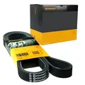 CONTI 6PK1045K4 Keilrippenriemensatz für PEUGEOT OPEL CITROËN DS