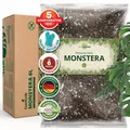 Monstera Erde für Zimmerpflanzen und Garten  6L Monstera Substrat für Pflanze...